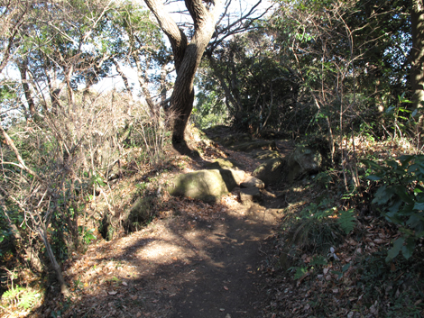 20180110hike (44)